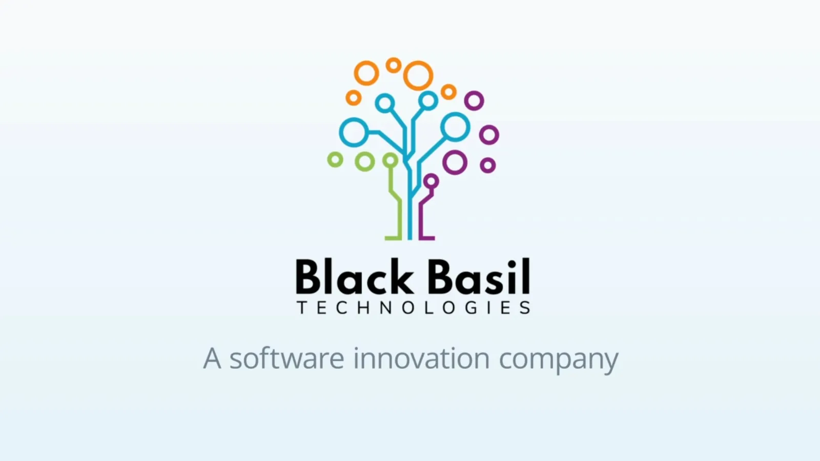 IT Consulting Services Solutions Company Black Basil Technologies